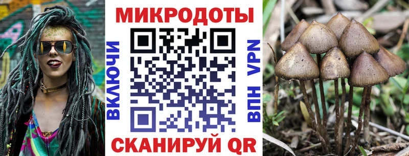 Галлюциногенные грибы GOLDEN TEACHER  сколько стоит  маркетплейс наркотические препараты  Приозерск 