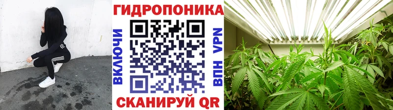 Марихуана план Приозерск